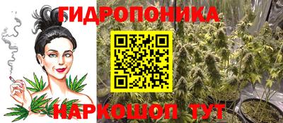 дмт Сланцы